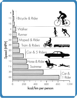 Bicycle manufacturing cost outlet
